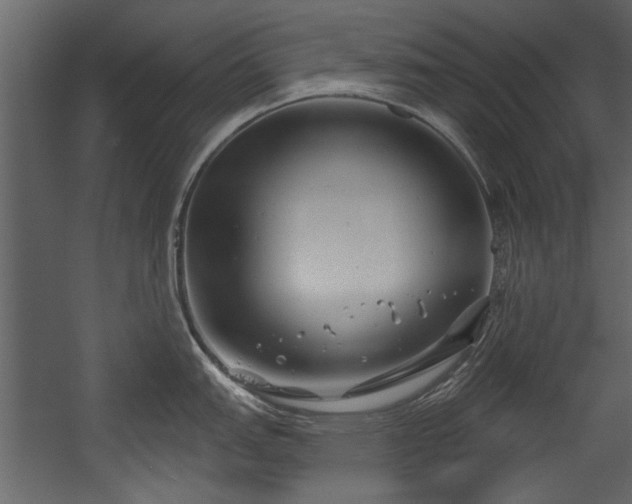 X0000054421151200508011351