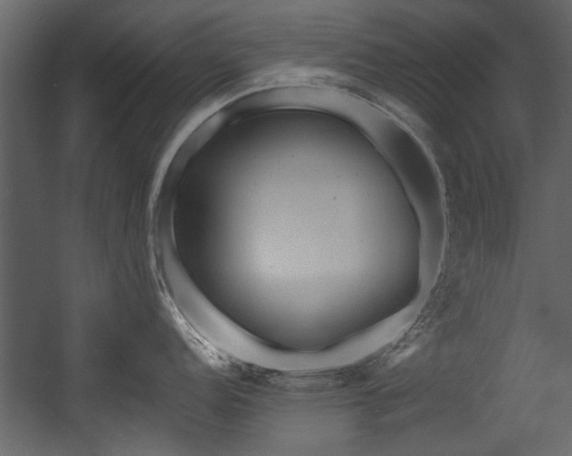 X0000054421152200508011351