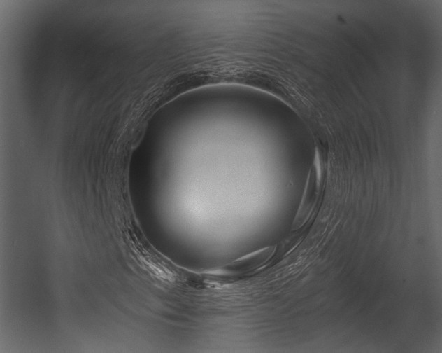 X0000054421153200508011350