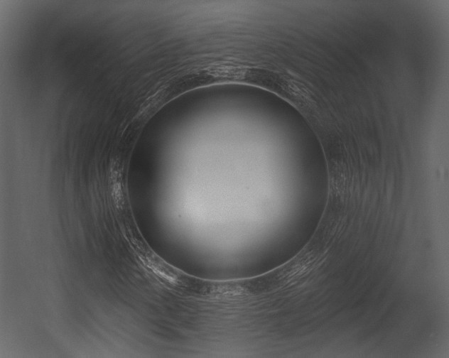 X0000054421154200508011350