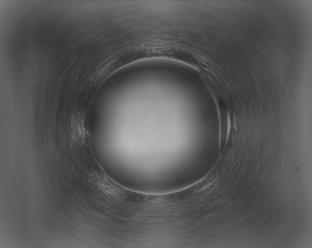 X0000054421155200508011350