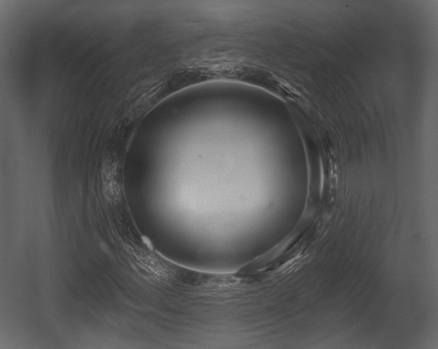 X0000054421156200508011350