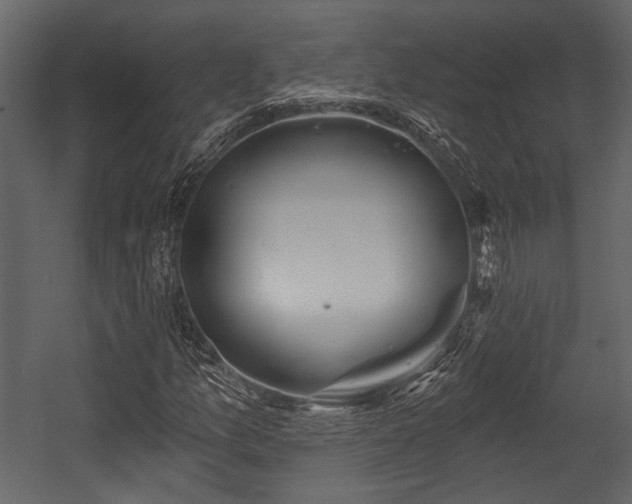 X0000054421157200508011350