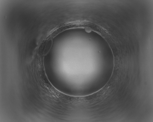 X0000054421158200508011350