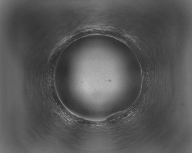 X0000054421159200508011350