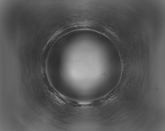 X0000054421160200508011350