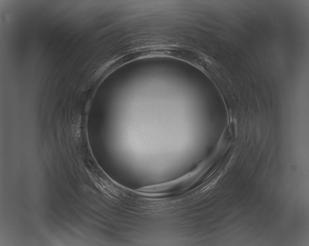 X0000054421161200508011350