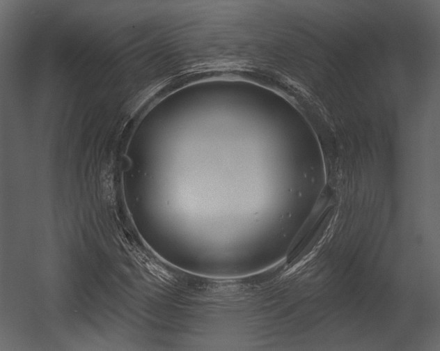 X0000054421162200508011350