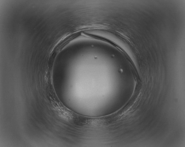 X0000054421163200508011350