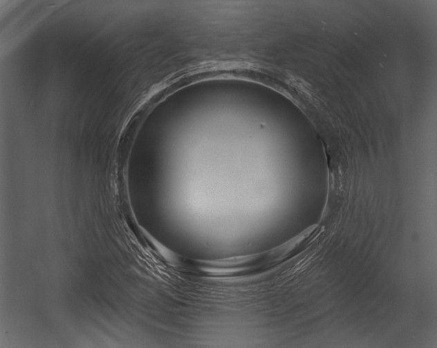 X0000054421165200508011350