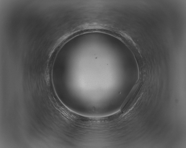 X0000054421167200508011350