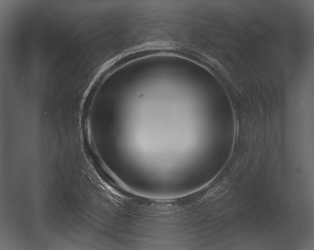 X0000054421168200508011350