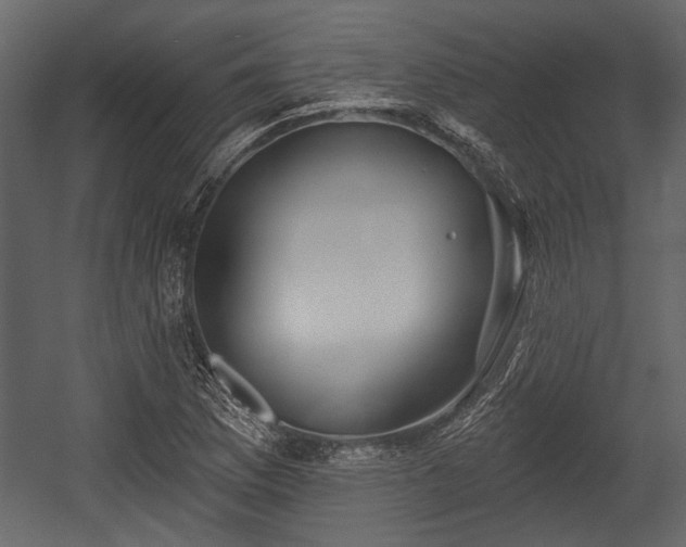 X0000054421169200508011350