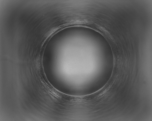 X0000054421170200508011350