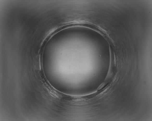 X0000054421171200508011350