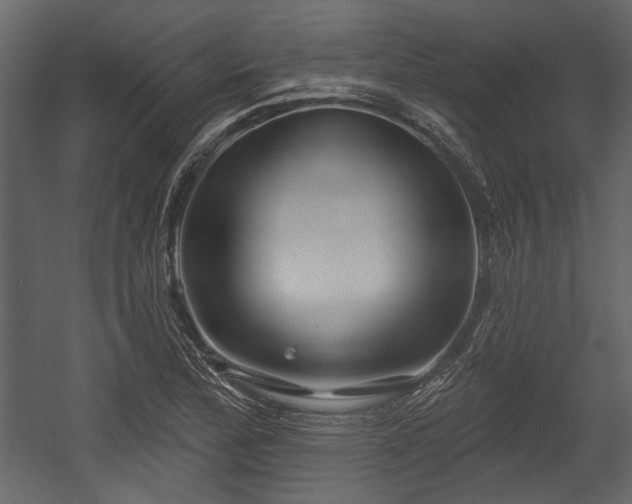 X0000054421172200508011350