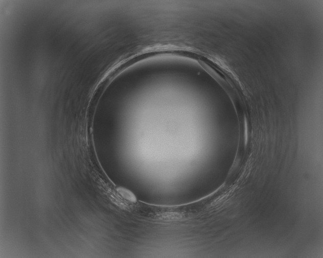 X0000054421173200508011350