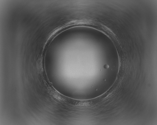 X0000054421174200508011350