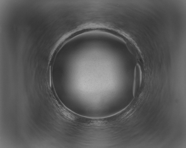 X0000054421175200508011350