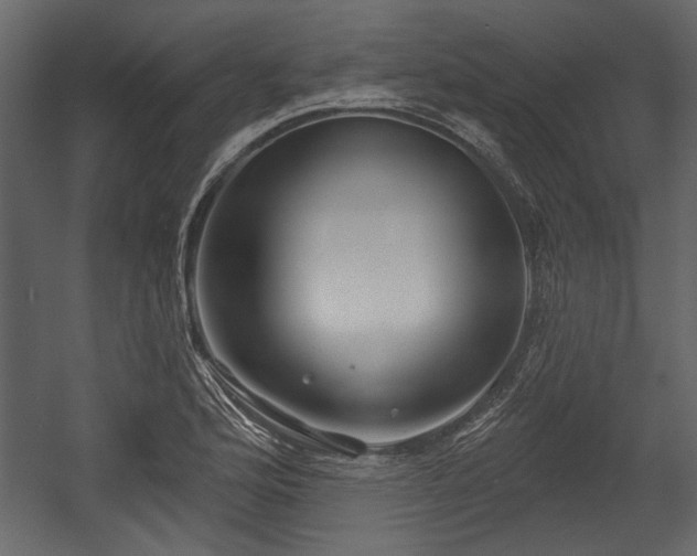 X0000054421176200508011350