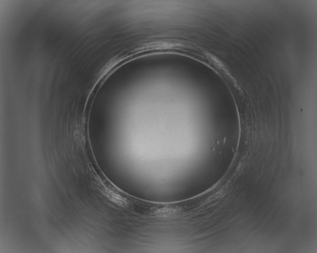 X0000054421178200508011349