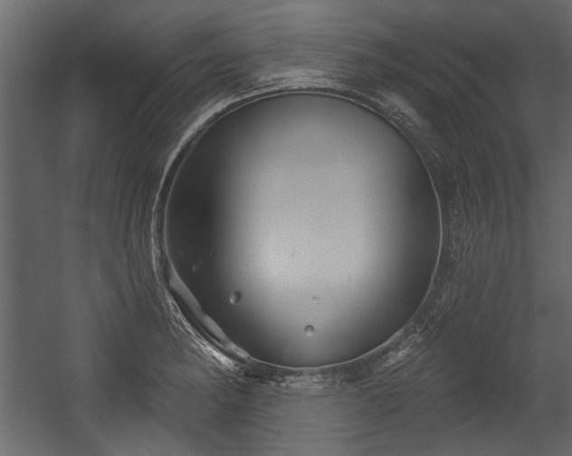 X0000054421182200508011349