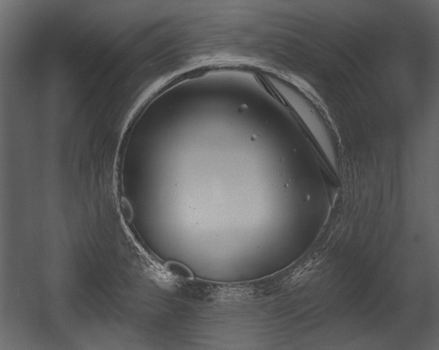 X0000054421183200508011349