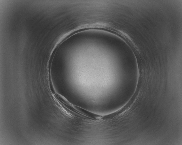 X0000054421184200508011349