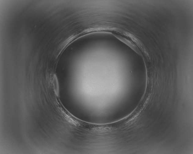 X0000054421185200508011349