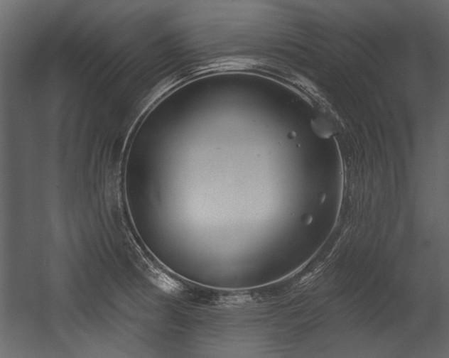 X0000054421186200508011349