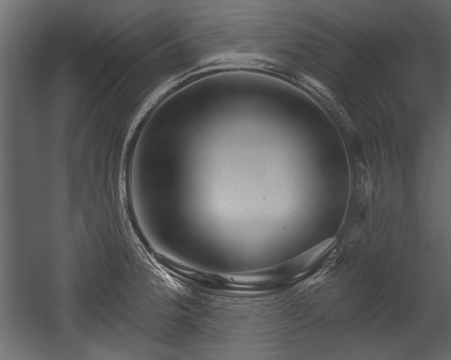 X0000054421188200508011349