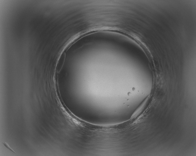 X0000054421189200508011349