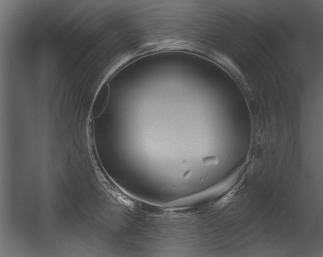 X0000054421190200508011349