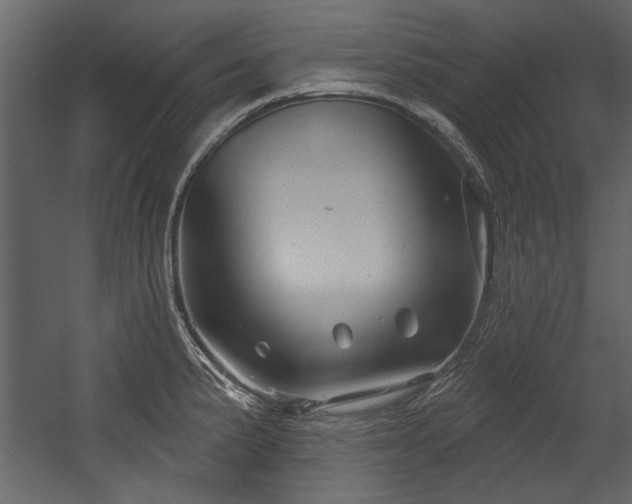 X0000054421191200508011349