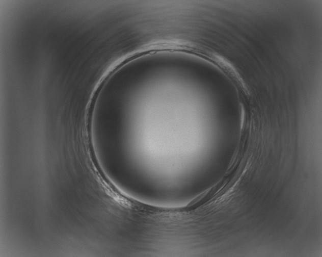 X0000054421192200508011349