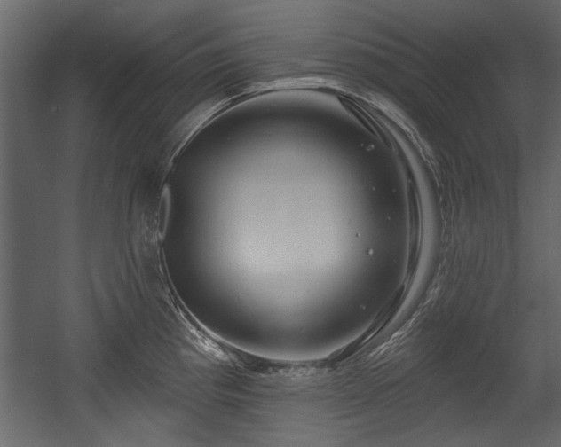 X0000054421193200508011349