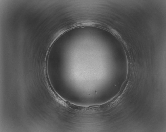 X0000054421194200508011349