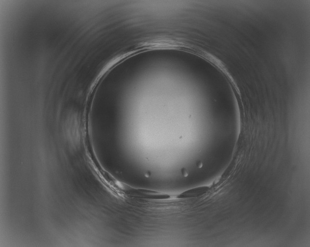 X0000054421195200508011349