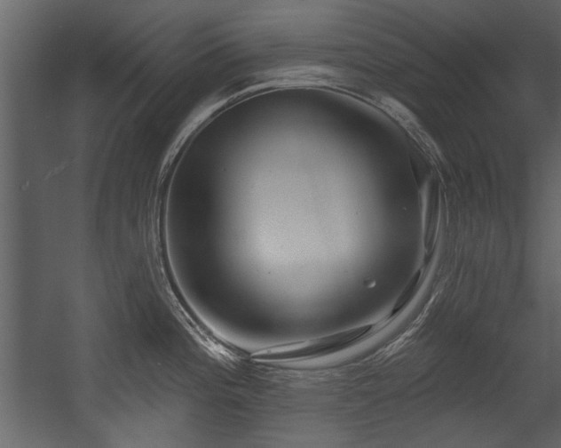 X0000054421196200508011349