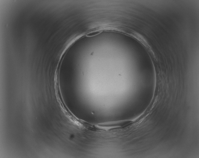 X0000054421198200508011349