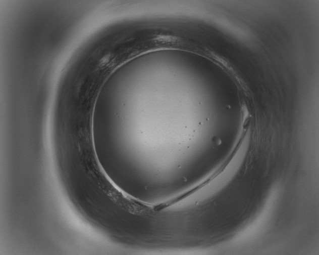 X0000054421199200508011349