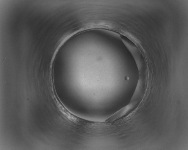 X0000054421200200508011349