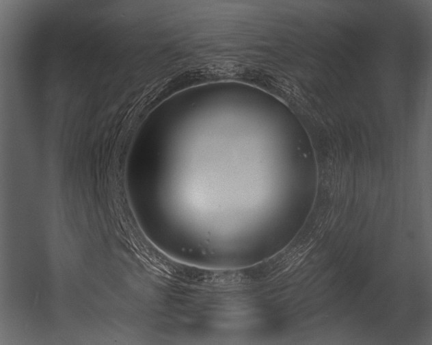 X0000054421201200508011348