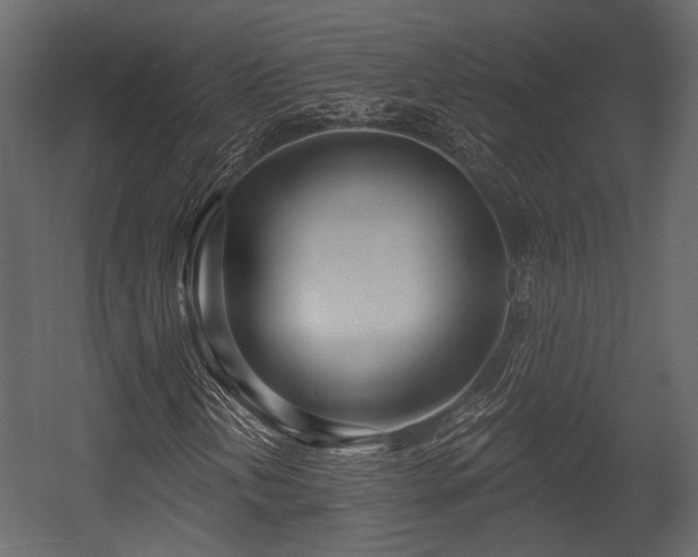 X0000054421202200508011348