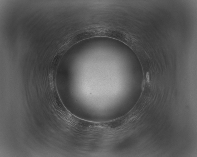 X0000054421203200508011348