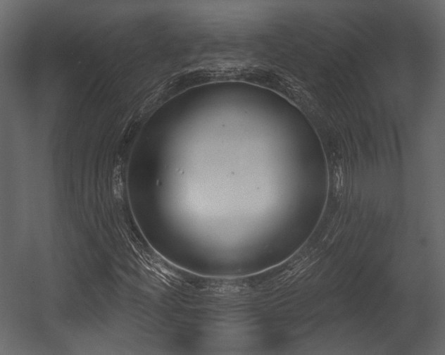 X0000054421204200508011348