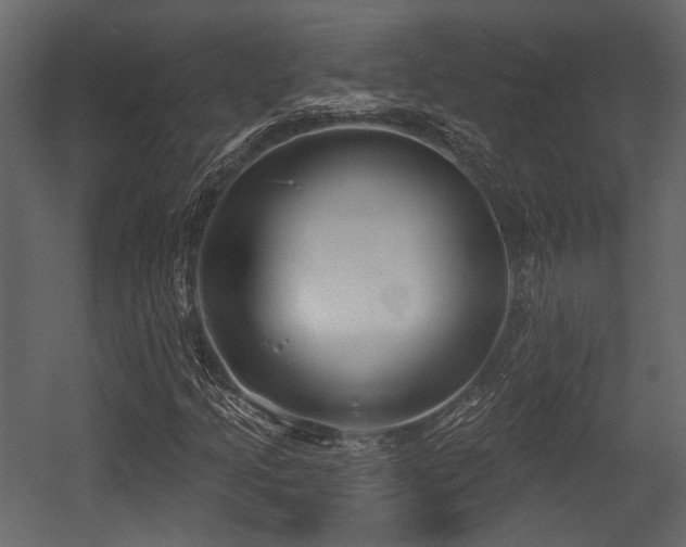 X0000054421205200508011348