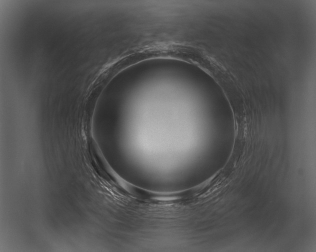 X0000054421206200508011348