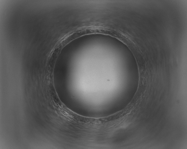 X0000054421207200508011348