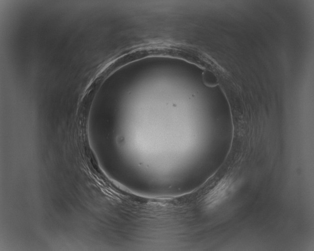 X0000054421208200508011348